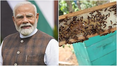 PM Narenra Modi 