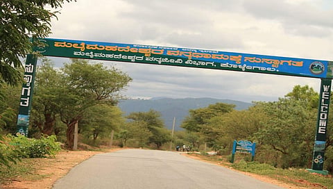 File image