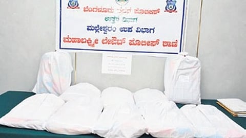 The bags of hydroponic ganja seized from the couple 