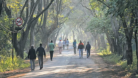 Bangalore University’s Jnanabharathi campus