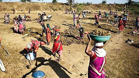 Rural areas are believed to have contributed significantly to the decline in joblessness