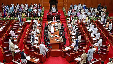 Legislative council 