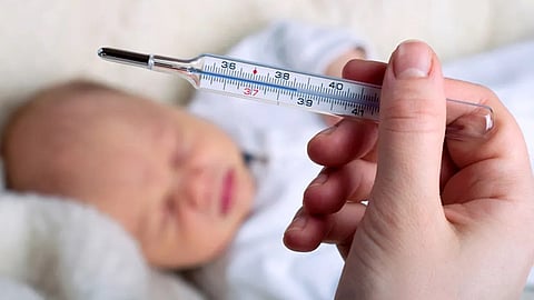 Newborn Babies 