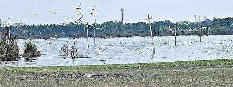 Doddaballapura lake 