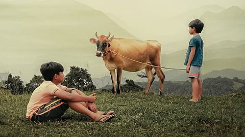 Valavaara  cinema still
