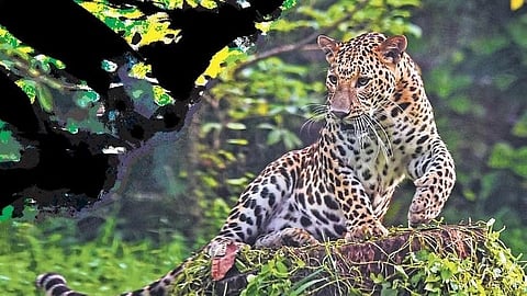 File photo