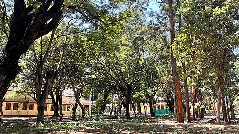 KSIC T Narasipura