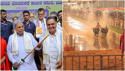 CM Siddaramaiah in Kambala 