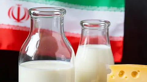 milk-Cheese