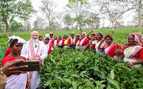 PM Modi in tea garden 