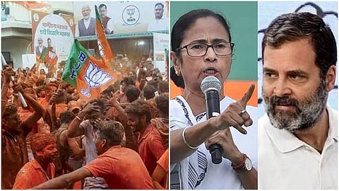 BJP celebration- Mamata Banarjee (file photo)