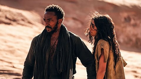 Desert Warrior