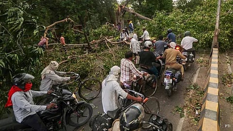 Trees were uprooted and vehicles were crushed during the storm in UP