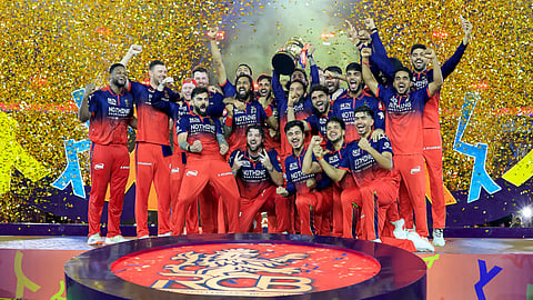RCB  Players