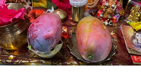 World's costliest Miyazaki mango offered to Lord Ram in Ayodhya