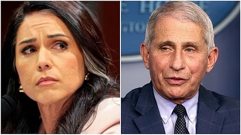 Tulsi Gabbard-Anthony Fauci