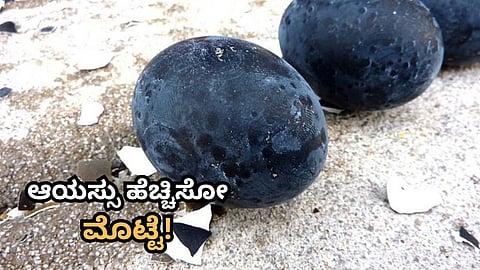 Kuro-tamago