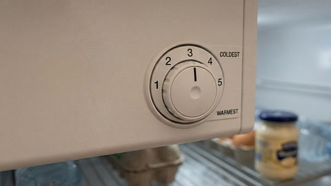 Fridge