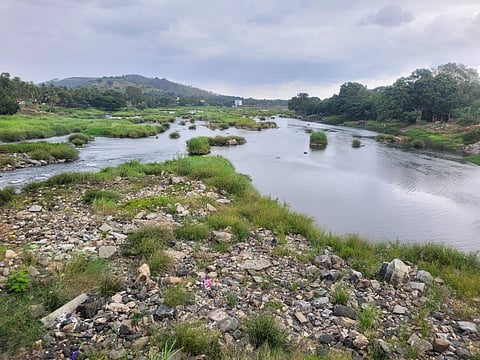 Cauvery River