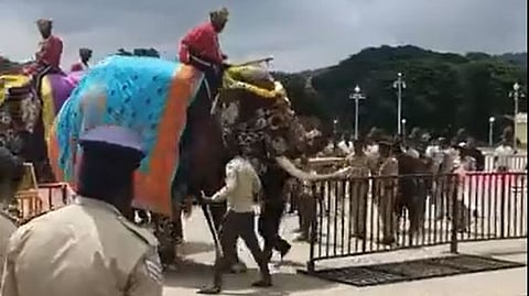 Dasara jumbo Srirama got irritated