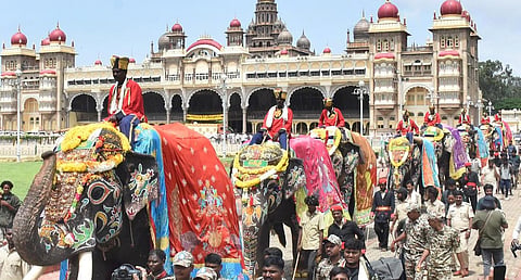 Elephant of Mysuru Dasara 
