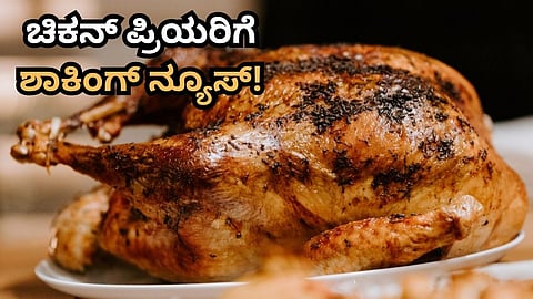 Chicekn Meat