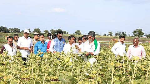 ಬರ ಪರಿಶೀಲನೆ ನಡೆಸಿದ ಡಿಕೆ ಶಿವಕುಮಾರ್