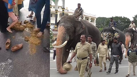 Mysuru Dasara Elaphants