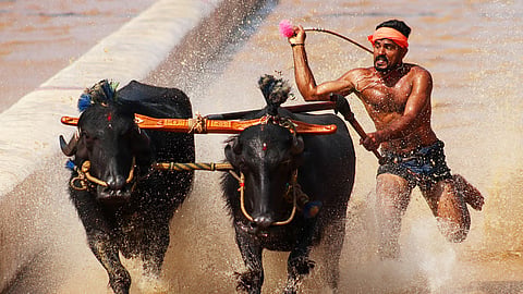 Representational image
