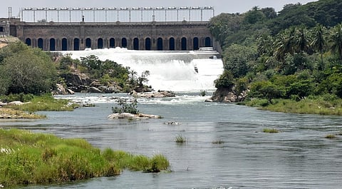 Cauvery water