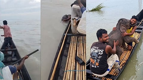 Fishermen Race 3 Km To Rescue Elephant Calf Swept Away In West Bengal River