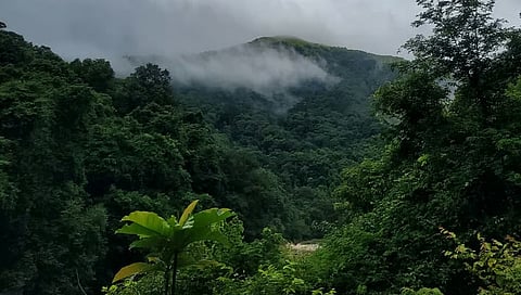 ಕಸ್ತೂರಿ ರಂಗನ್ ವರದಿಗೆ ವಿರೋಧ ಏಕೆ? ವರದಿ ಜಾರಿಯಾದರೆ ಪರಿಣಾಮವೇನು? ಜೀವ ವೈವಿಧ್ಯದ ಹಾಟ್ ಸ್ಪಾಟ್ 'ಪಶ್ಚಿಮ ಘಟ್ಟ' ಜನರ ಆತಂಕವೇನು?