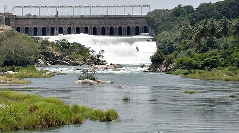 Cauvery water