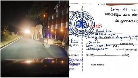 Fine for forest officer 