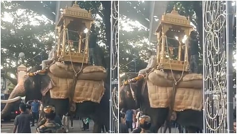 Mahendra elephant 