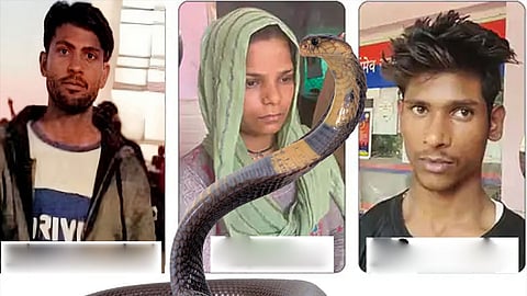 Meerut Couple Gets Death Sentence for Husband’s Murder Staged as Snakebite