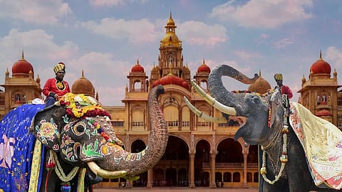 Mysore Dasara: The Legacy of Golden Howdah Elephants from Jayamarthanda to Prashantha