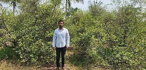 Akram Malkhed at his lemon farm in Babaleshwar taluk of Vijayapura district.