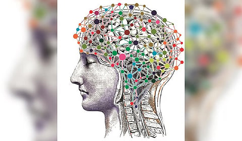 Effects are time-dependent, with sensitive developmental windows in which exposure carries disproportionate and only partly reversible consequences