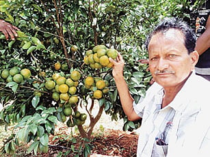 ನೋ ಎನ್ನದ ಕಿನೋ