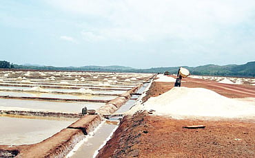 ಸಾಣೆ ಹಿಡಿದ ಉಪ್ಪು