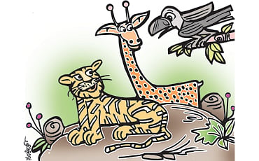 ಹುಲಿಯ ಸೋಲು