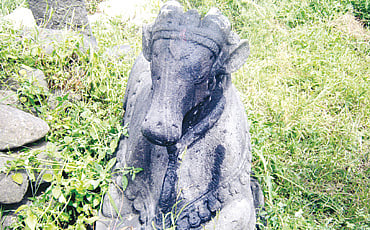 ಗಿರಿಯಾಲ ಎಲ್ಲೋ...!