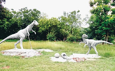 ಕ್ಯಾಂಪಸ್ ಸಿರಿ