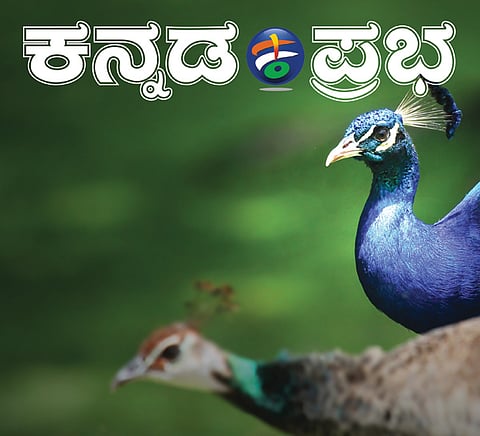 ಪ್ರಾಣಿಗಳೇ ಗುಣದಲಿ ಮೇಲು, ಮಾನವ ಅದಕ್ಕಿಂತ ಕೀಳು ಎಂಬುದು ಅಣ್ಣಾವ್ರು ಹಾಡಿರುವ ಹಾಡು. ಹೀಗಾಗಿ ಪ್ರಾಣಿಗಳನ್ನೇ ರೂಪಕವಾಗಿಟ್ಟುಕೊಂಡು ಮನುಷ್ಯರ ಗುಣಾವಗುಣಗಳನ್ನು ವಿಡಂಬನಾತ್ಮಕವಾಗಿ ನಿಮ್ಮ ಮುಂದಿಡುವ ಪ್ರಯತ್ನ ಇಲ್ಲಿದೆ. ಓದಿ ಎಂಜಾಯ್ ಮಾಡಿ, ಸೀರಿಯಸ್ಸಾಗಿ ತಗೊಂಡ್ರೆ ನಾವು ಜವಾಬ್ದಾರರಲ್ಲ. ಹೊಸ ವರ್ಷದ ಶುಭಾಶಯ