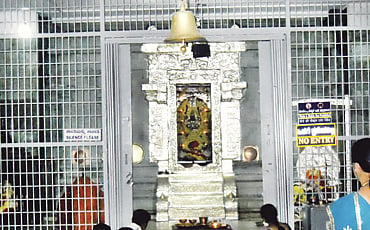 ಮಲೆನಾಡ ಮಂದಾರ