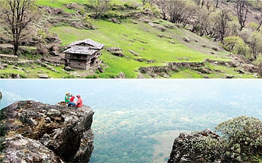 ಜೀವ ಹೂವಾಗಿದೆ...