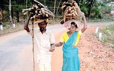 ಆಧುನಿಕ ಗಾಂಧಾರಿ!