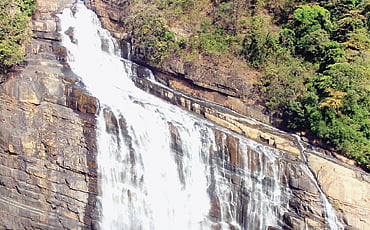 ಉಂಚಳ್ಳಿ ಮಿಂಚುಳ್ಳಿ