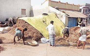 ಹುಳಿ ಹುಣಸೆ